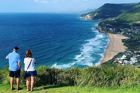 Waves Waterfalls And Wineries Full-Day Southern Highlands Private Tour - Accommodation NT 5