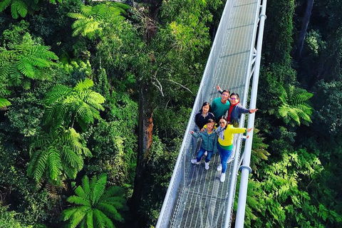 Waves Waterfalls And Wineries Full-Day Southern Highlands Private Tour - Accommodation NT 7