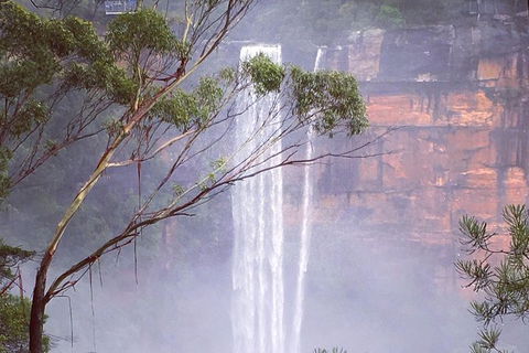 Waves Waterfalls And Wineries Full-Day Southern Highlands Private Tour - Accommodation NT 4