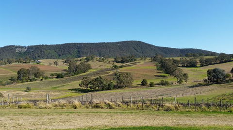 Small Group All Inclusive Hunter Valley Wine Tasting Tour From Sydney - Accommodation NT 10