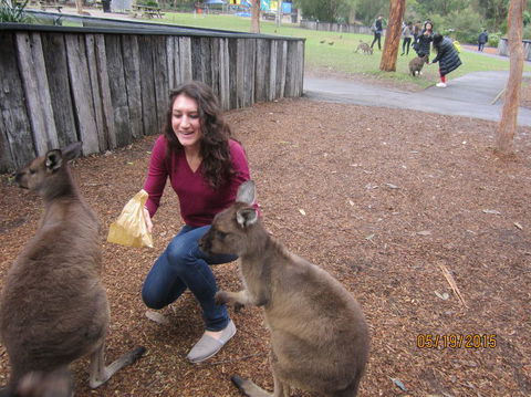 Small Group All Inclusive Hunter Valley Wine Tasting Tour From Sydney - Accommodation NT 14