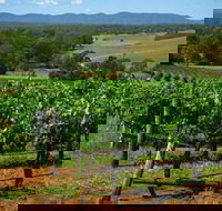 Small Group All Inclusive Hunter Valley Wine Tasting Tour from Sydney - Accommodation NT