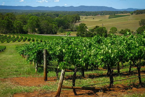 Small Group All Inclusive Hunter Valley Wine Tasting Tour From Sydney - Accommodation NT 0