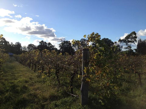 Small Group All Inclusive Hunter Valley Wine Tasting Tour From Sydney - Accommodation NT 18