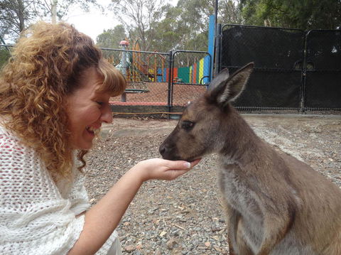 Small Group All Inclusive Hunter Valley Wine Tasting Tour From Sydney - Accommodation NT 16