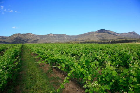 Small Group All Inclusive Hunter Valley Wine Tasting Tour From Sydney - Accommodation NT 28