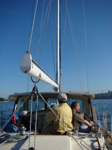 Sydney Eco Whale Watching Small Group Cruise - Accommodation NT 14