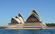 Sydney Eco Whale Watching Small Group Cruise - thumb 10