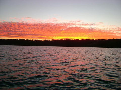 Sydney Eco Whale Watching Small Group Cruise - Accommodation NT 19