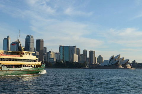 Sydney Eco Whale Watching Small Group Cruise - Accommodation NT 6