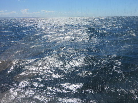 Sydney Whale-Watching Cruise - Accommodation NT 5