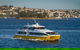 Sydney Whale-Watching Cruise - thumb 1