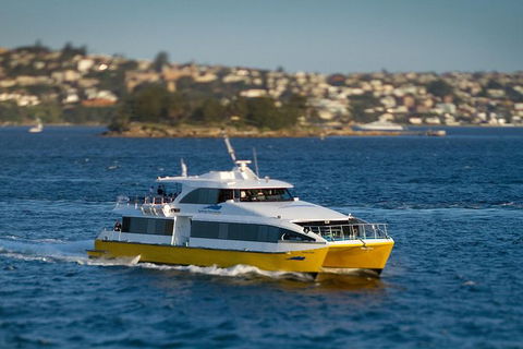 Sydney Whale-Watching Cruise - Accommodation NT 1