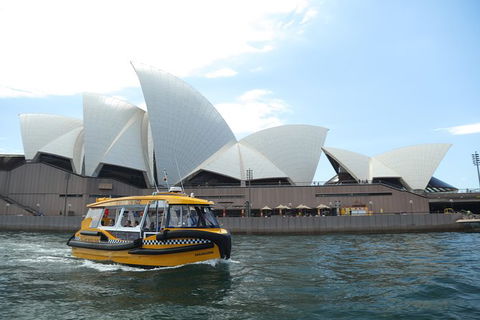 Private Sydney Harbour Cruise With Yellow Water Taxis - Accommodation NT 0
