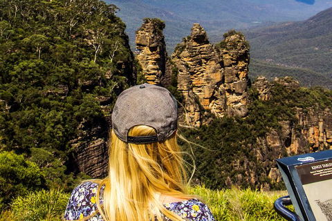 Sunset Blue Mountains Wilderness & Wildlife Tour (Without The Crowds) - Accommodation NT 0