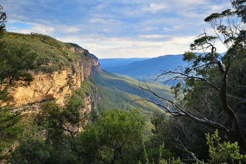 Sunset Blue Mountains Wilderness & Wildlife Tour (Without The Crowds) - Accommodation NT 14