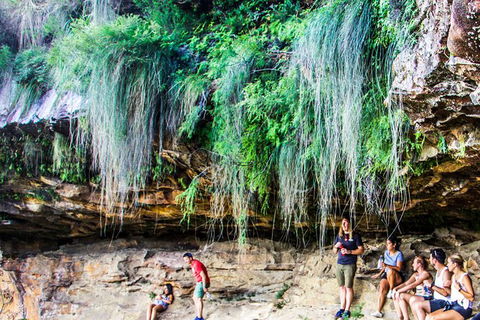 Sunset Blue Mountains Wilderness & Wildlife Tour (Without The Crowds) - Accommodation NT 8