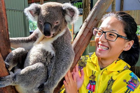 Wildlife Waterfalls And Wine Day Tour From Sydney - Accommodation NT 0