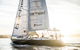 Sydney Harbour Sip And Sail Twilight Cruise - thumb 0