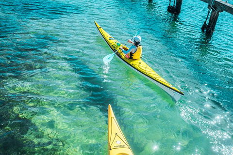 Self-Guided Sydney Middle Harbour Kayak 3 Hour Tour By Single Kayak - Accommodation NT 1