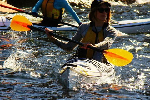 Self-Guided Sydney Middle Harbour Kayak 3 Hour Tour By Single Kayak - Accommodation NT 8