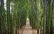 Byron Bay And Beyond Tour Including Cape Bryon Lighthouse Crystal Castle And Bangalow - thumb 15