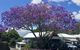 Byron Bay And Beyond Tour Including Cape Bryon Lighthouse Crystal Castle And Bangalow - thumb 3