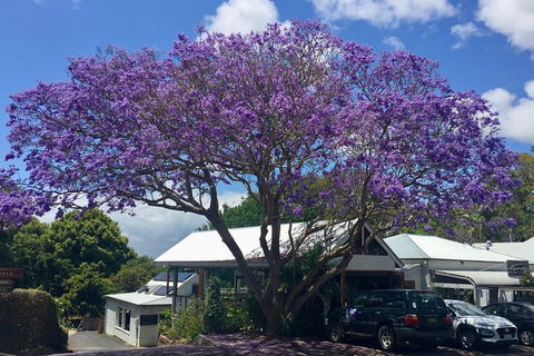 Byron Bay And Beyond Tour Including Cape Bryon Lighthouse Crystal Castle And Bangalow - Accommodation NT 3