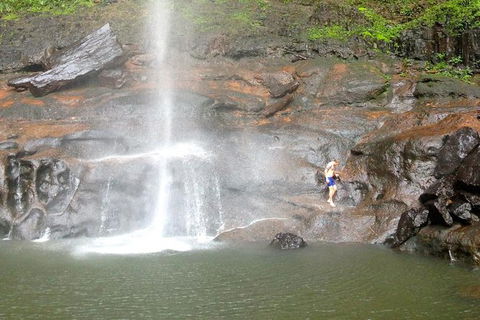 Byron Bay Combo: Hinterland Tour Including Minyon Falls And Kayaking With Dolphins - Accommodation NT 15