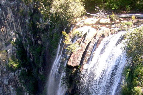 Byron Bay Combo: Hinterland Tour Including Minyon Falls And Kayaking With Dolphins - Accommodation NT 20