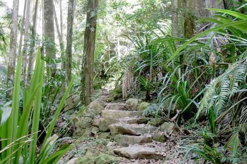 Byron Bay Combo: Hinterland Tour Including Minyon Falls And Kayaking With Dolphins - Accommodation NT 4
