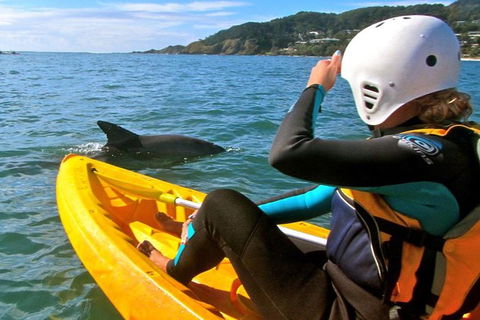 Byron Bay Combo: Hinterland Tour Including Minyon Falls And Kayaking With Dolphins - Accommodation NT 1