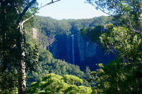 Byron Bay Combo: Hinterland Tour Including Minyon Falls And Kayaking With Dolphins - Accommodation NT 5