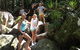 Byron Bay Combo: Hinterland Tour Including Minyon Falls And Kayaking With Dolphins - thumb 7