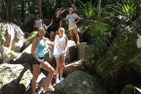 Byron Bay Combo: Hinterland Tour Including Minyon Falls And Kayaking With Dolphins - Accommodation NT 7