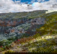 Stray Australia Blue Mountains - Day Tour - Accommodation NT