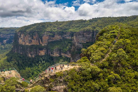 Stray Australia: Blue Mountains - Day Tour - Accommodation NT 0