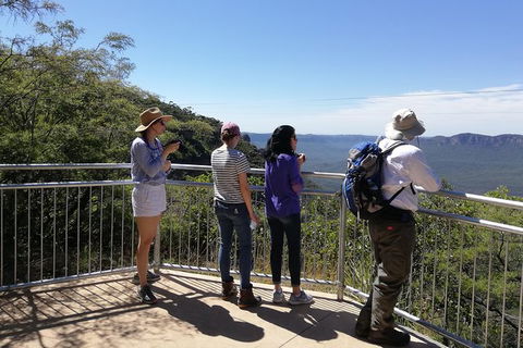 Blue Mountains Private Tour With Kangaroos & Koala Encounter - Accommodation NT 0
