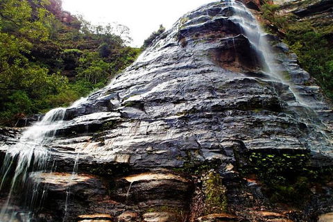 Blue Mountains Private Tour With Kangaroos & Koala Encounter - Accommodation NT 1