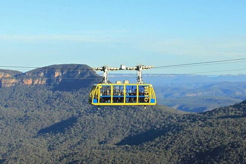 Blue Mountains Private Tour With Kangaroos & Koala Encounter - Accommodation NT 4