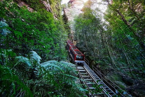 Blue Mountains Private Tour With Kangaroos & Koala Encounter - Accommodation NT 12