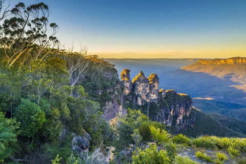 Blue Mountains Private Tour With Kangaroos & Koala Encounter - Accommodation NT 2