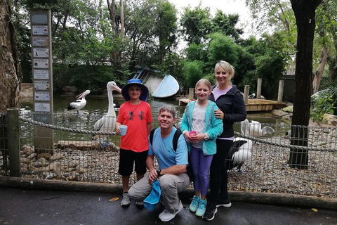Blue Mountains Private Tour With Kangaroos & Koala Encounter - Accommodation NT 10