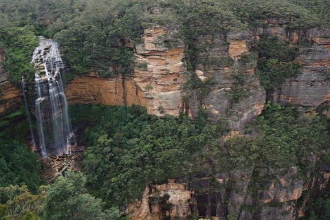 Blue Mountains Private Tour With Kangaroos & Koala Encounter - Accommodation NT 8