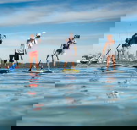 Stand Up Paddle on Sydney Harbour from Watsons Bay - Accommodation NT