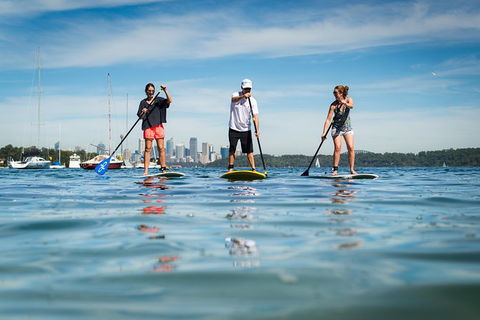 Stand Up Paddle On Sydney Harbour From Watsons Bay - Accommodation NT 0