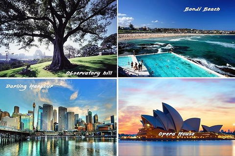 8 Hours Sydney Tour - Accommodation NT 1