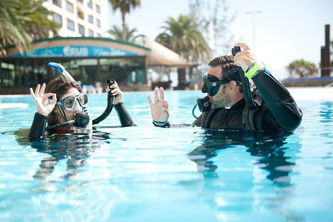 Try Scuba Diving Experience: Sydney - Accommodation NT 0