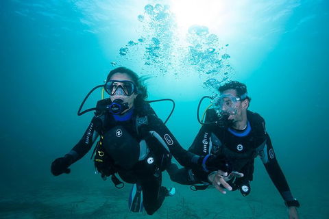 Try Scuba Diving Experience: Sydney - Accommodation NT 3