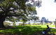 Private Tour: Half-Day Iconic Sydney - thumb 6